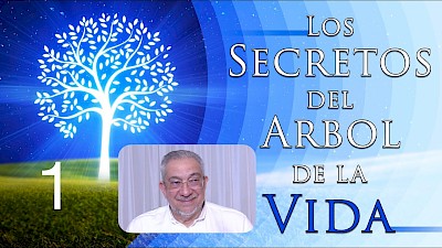 Los secretos del árbol de la vida